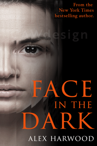 Premade ebook cover