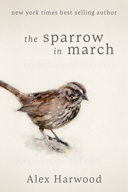 Ebook premade cover