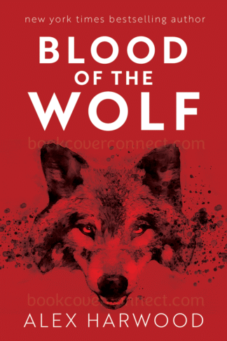 premade ebook cover preview thriller