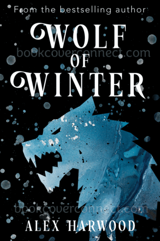 Premade fantasy ebook cover